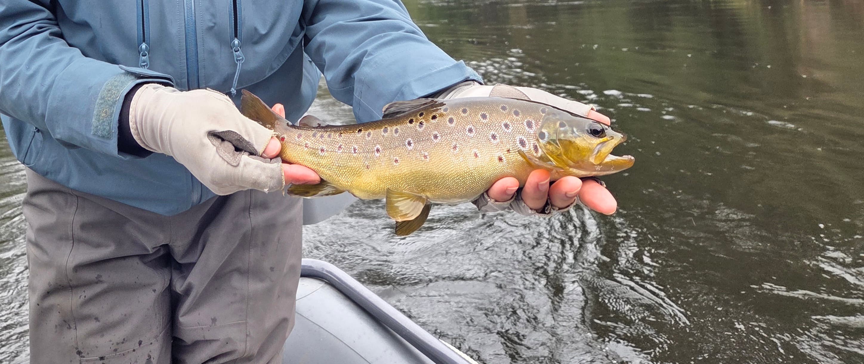 Fly Fishing – Río Maullín & Lagos 8