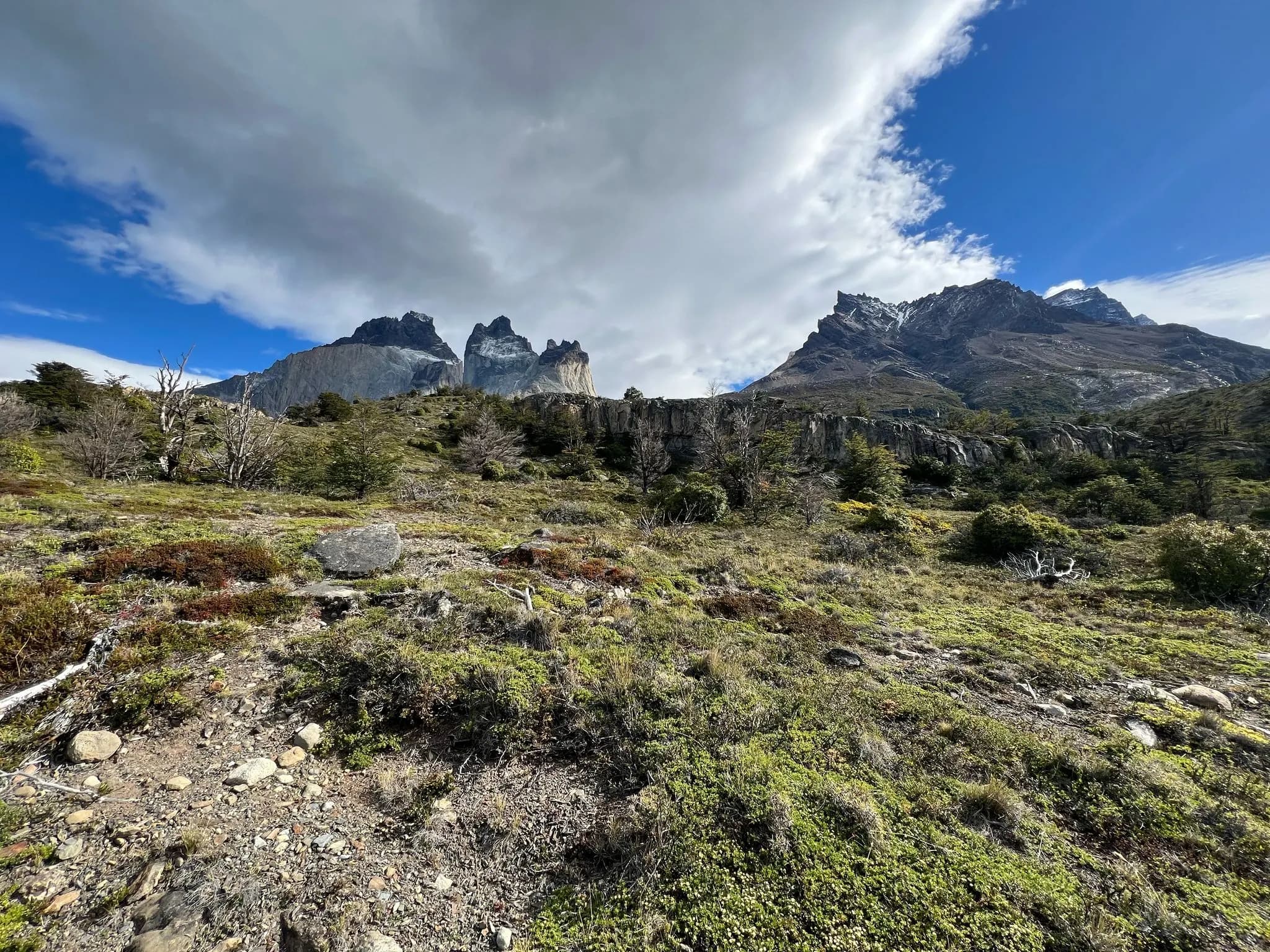 The Paine massif and the Cuernos seen from the Patagonian steppe