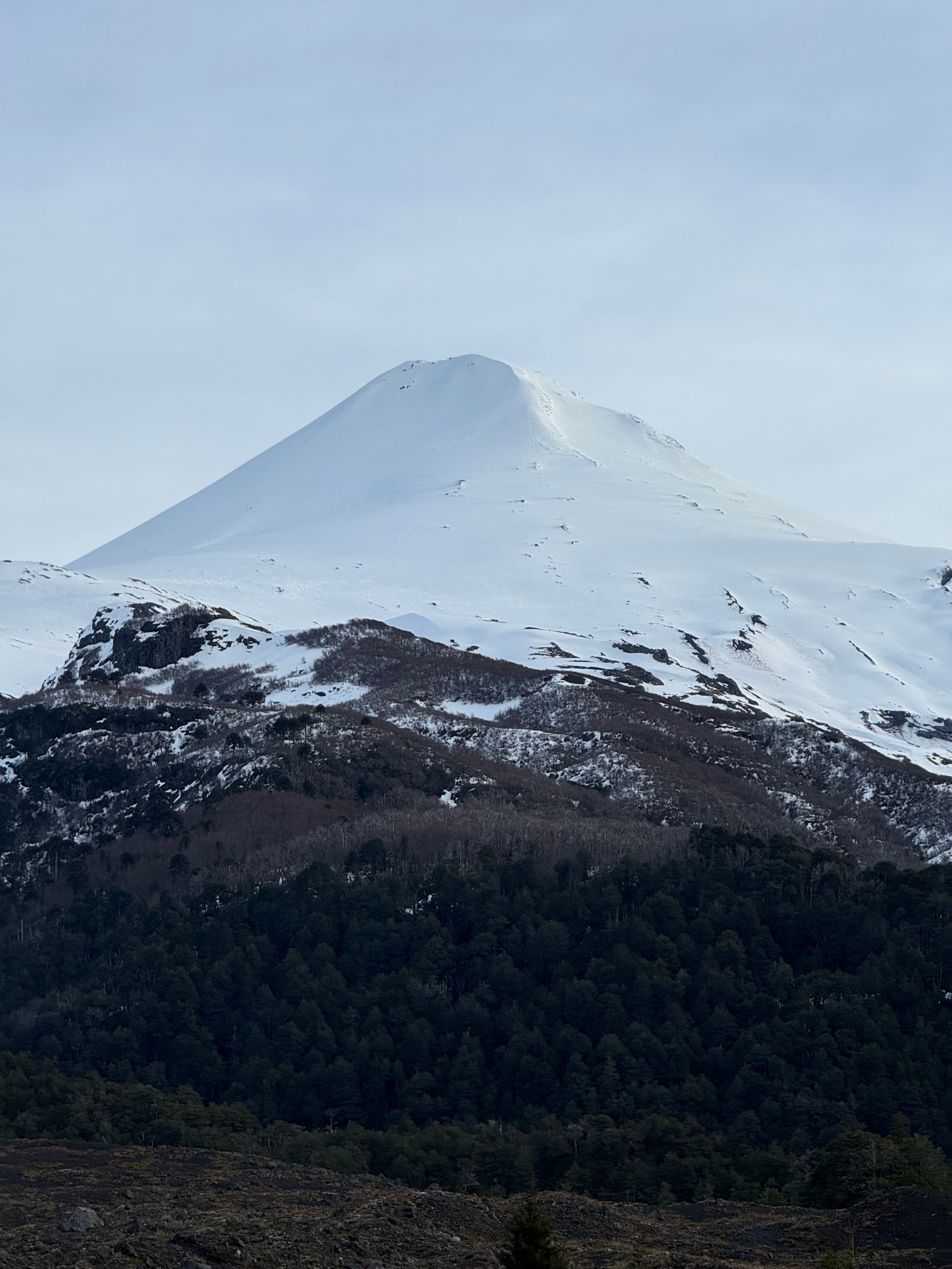 Huemul 14