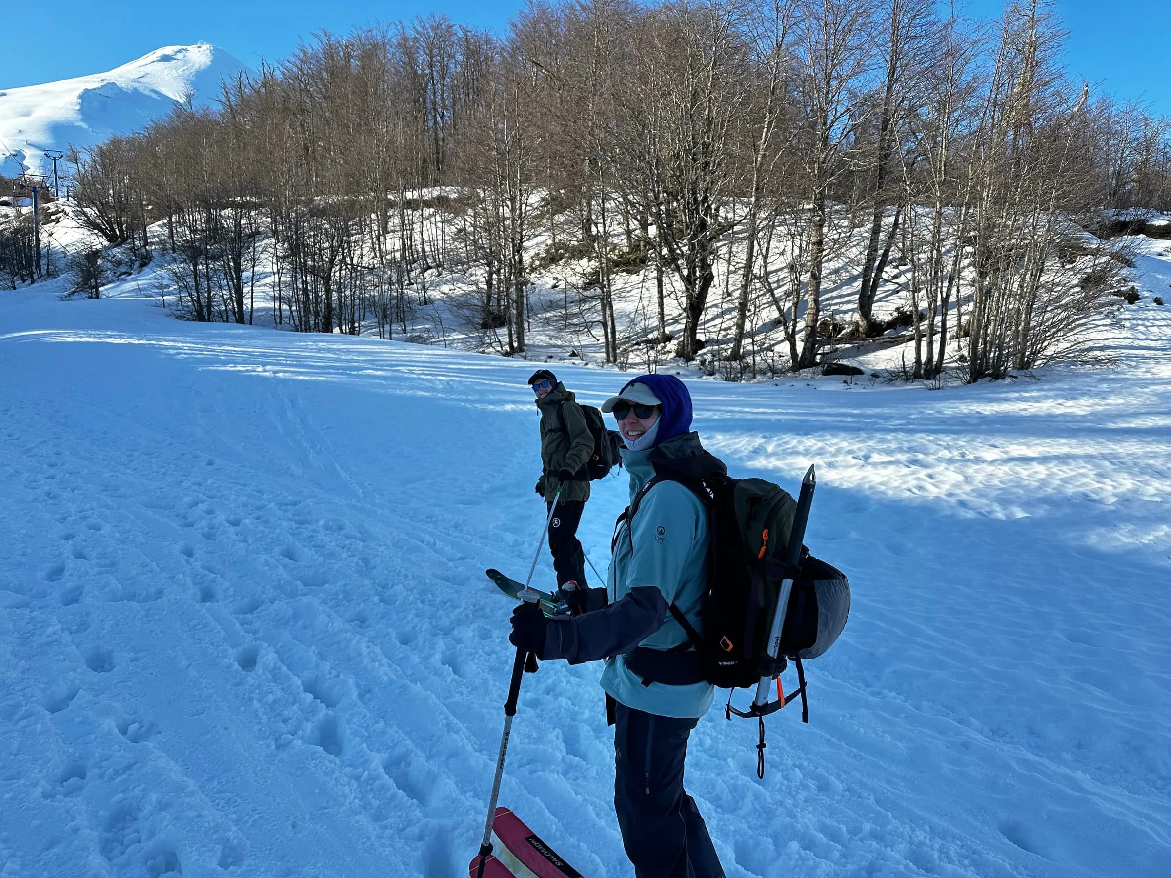 Ski tourers with backpacks on a sunny snow slope below bare trees, Volcán Villarrica