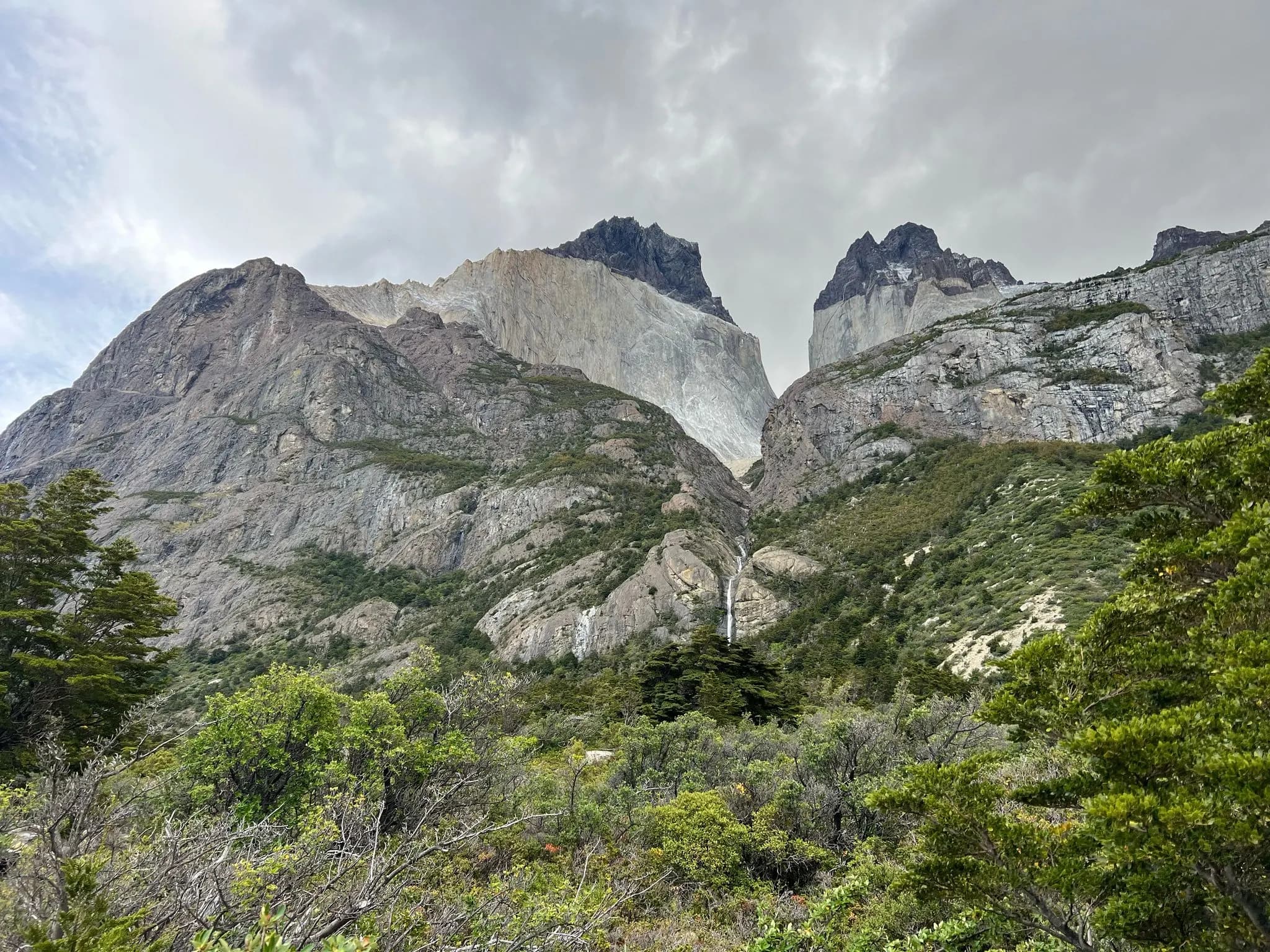 The Cuernos del Paine above the lenga forest, Torres del Paine